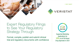 Expert Regulatory Filings to See Your Regulatory Strategy Through